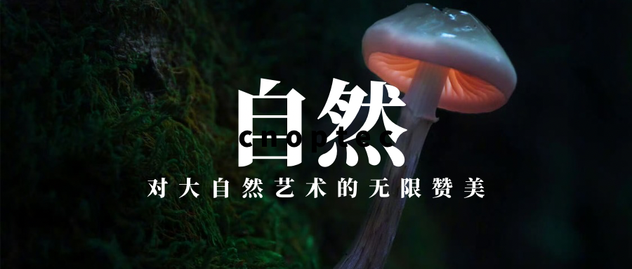 微觀世界：探尋“微小世界”