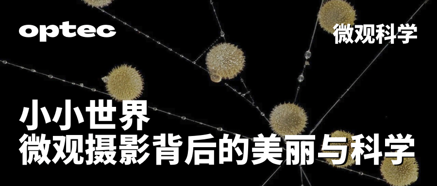 微觀世界：微觀攝影背后的美麗與科學