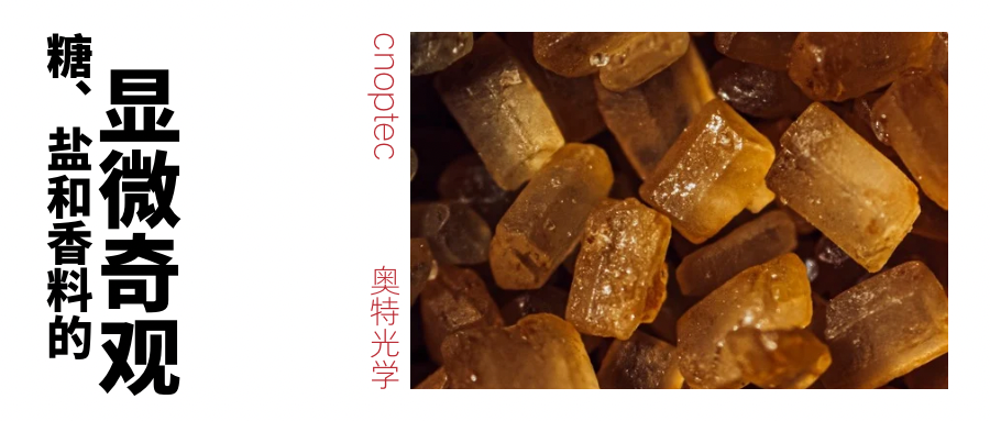 微觀世界：糖、鹽和香料的顯微奇觀