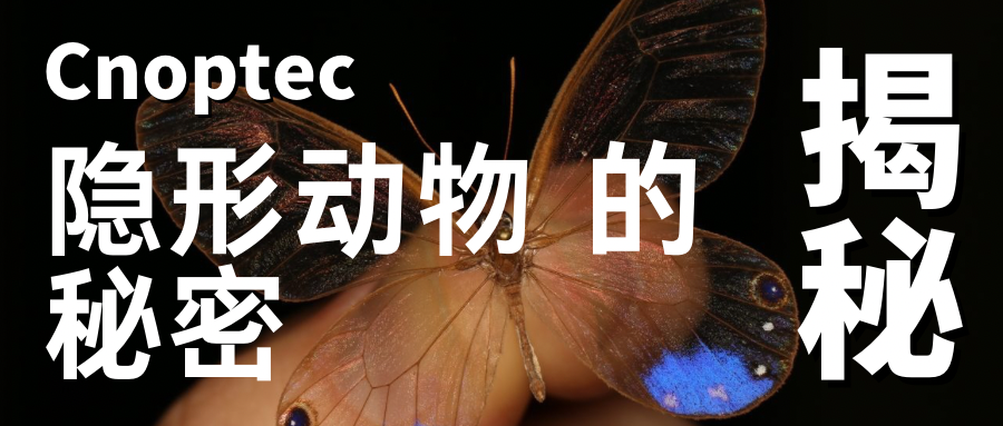 微觀世界：揭示“隱形”動物的秘密